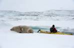 A Ana se aproxima e fotografa a foca crabeater em Kinnes Cove, na Antártida (foto de Vladimir Seliverstov)